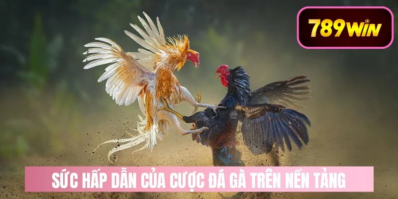 Sức Hấp Dẫn Của Chơi Cược Đá Gà Trên 789WIN
